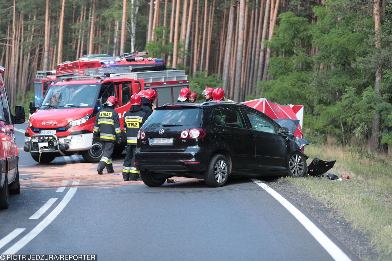 Prawie 300 śmiertelnych wypadków drogowych od początku wakacji