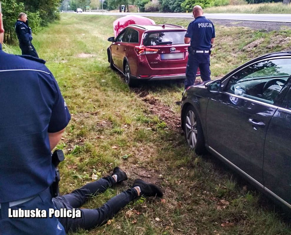 Sulęcin. Pościg za skradzionym autem. Kierowca uciekł w las i udawał grzybiarza