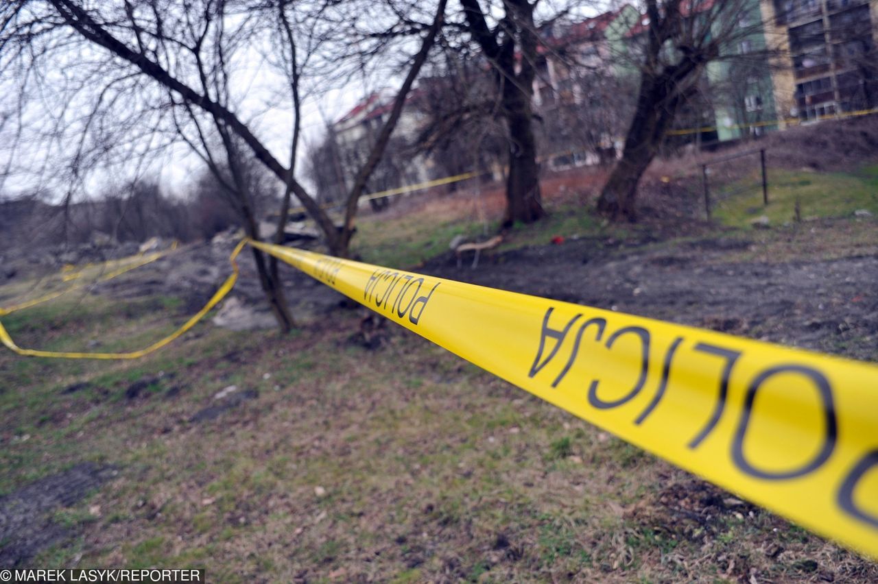 Wołomin: nastolatka trafiła na ludzkie szczątki podczas spaceru z psem