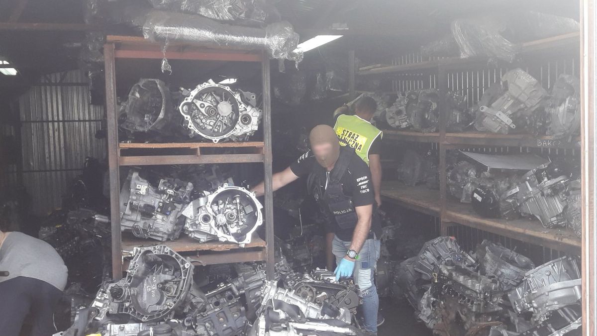 Skradzione auta warte były około 8 mln zł.