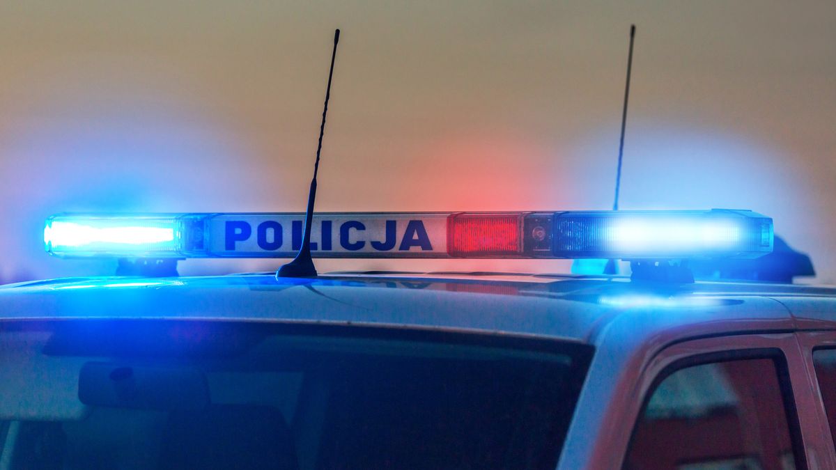 Flashing lights of polish police car (Policja) at dusk