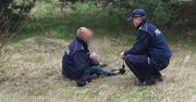 59-latka zaginęła przed świętami. Policjanci odnaleźli ją w lesie