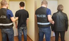 W okrutny sposób zabili psa w Żychlinie. Morderstwo zleciła właścicielka zwierzęcia