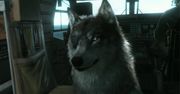 Krótka piłka: pokazówka Metal Gear Solid V: The Phantom Pain z E3 2015 jeszcze raz, ale inaczej