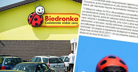 Wystarczyła jedna grafika w internecie. Tak Lidl rywalizuje z Biedronką
