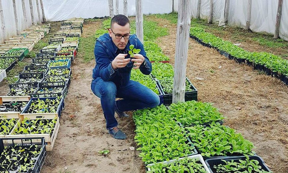 Ręczna praca w gospodarstwie. 