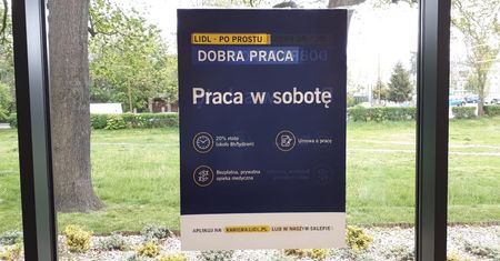 Jak sobota, to... do pracy do Lidla. Sieć szuka pracowników na jeden dzień w tygodniu