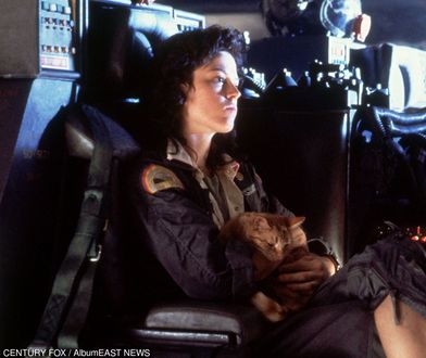 Program TV na niedzielę – "Obcy: ósmy pasażer Nostromo", "Pan i Pani Killer", "Iron Man III" [24-03-2019]