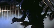 Przygotuj się na Dzień z Obcym. 26 kwietnia odbędzie się kinowy pokaz filmu "Obcy - 8. pasażer Nostromo"