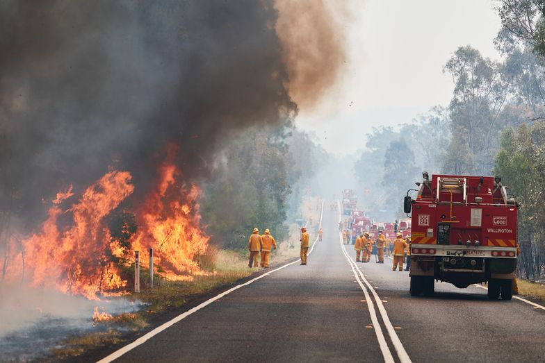 Pożary w Australii. Aresztowano nastolatka podejrzanego o wywołanie katastrofy