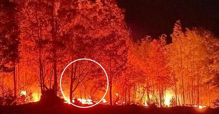 Australia. "Wypalają laserami trasę pod kolej". Wielu w to wierzy