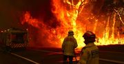 Australia może liczyć na wsparcie. Największa zbiórka w historii Facebooka