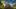 Czy Fortnite upadnie w 2019 ?