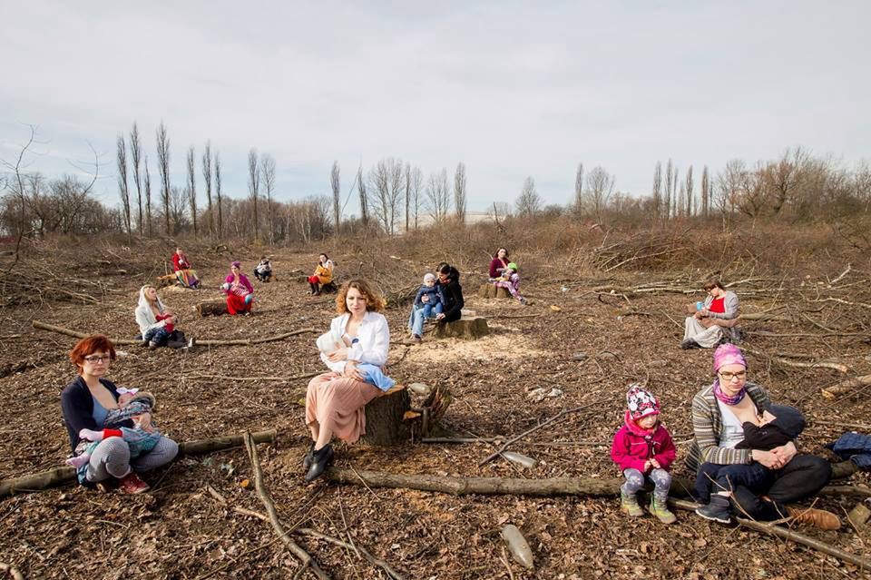 Matki Polki na wyrębie. Karmią dzieci piersią wśród ściętych drzew