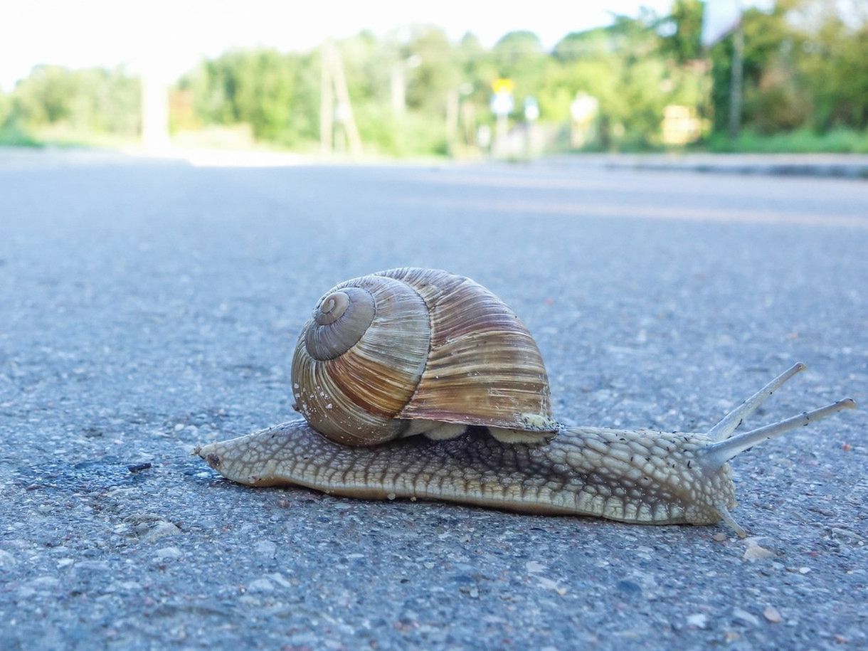 Twój smartfon wydaje się działać za wolno? Jest na to kilka sposobów