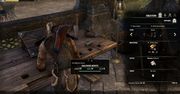 Elder Scrolls Online - testujemy MMO z unikalnym pomysłem na siebie