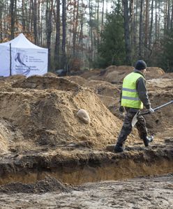 IPN odkrył szczątki ofiar nazistów w lesie pod Treblinką