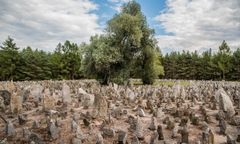 Nie będzie ekshumacji w byłym niemieckim obozie Treblinka I