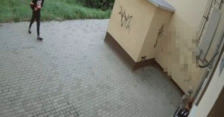 W "patriotycznych" ubraniach zniszczyli budynek uczelni