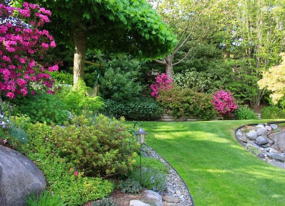 Najpopularniejszy nawóz, który wzmocni rośliny w twoim ogrodzie