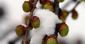 Drogi przejezdne, ale śliskie
