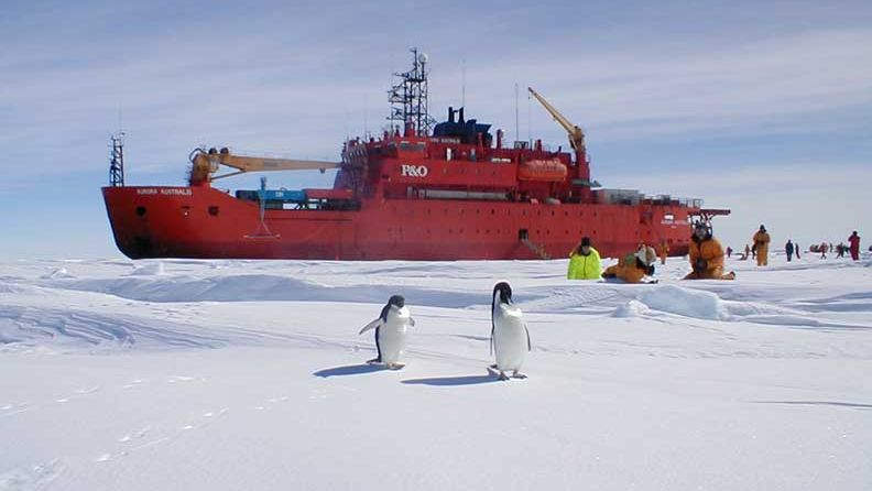Aurora Australis