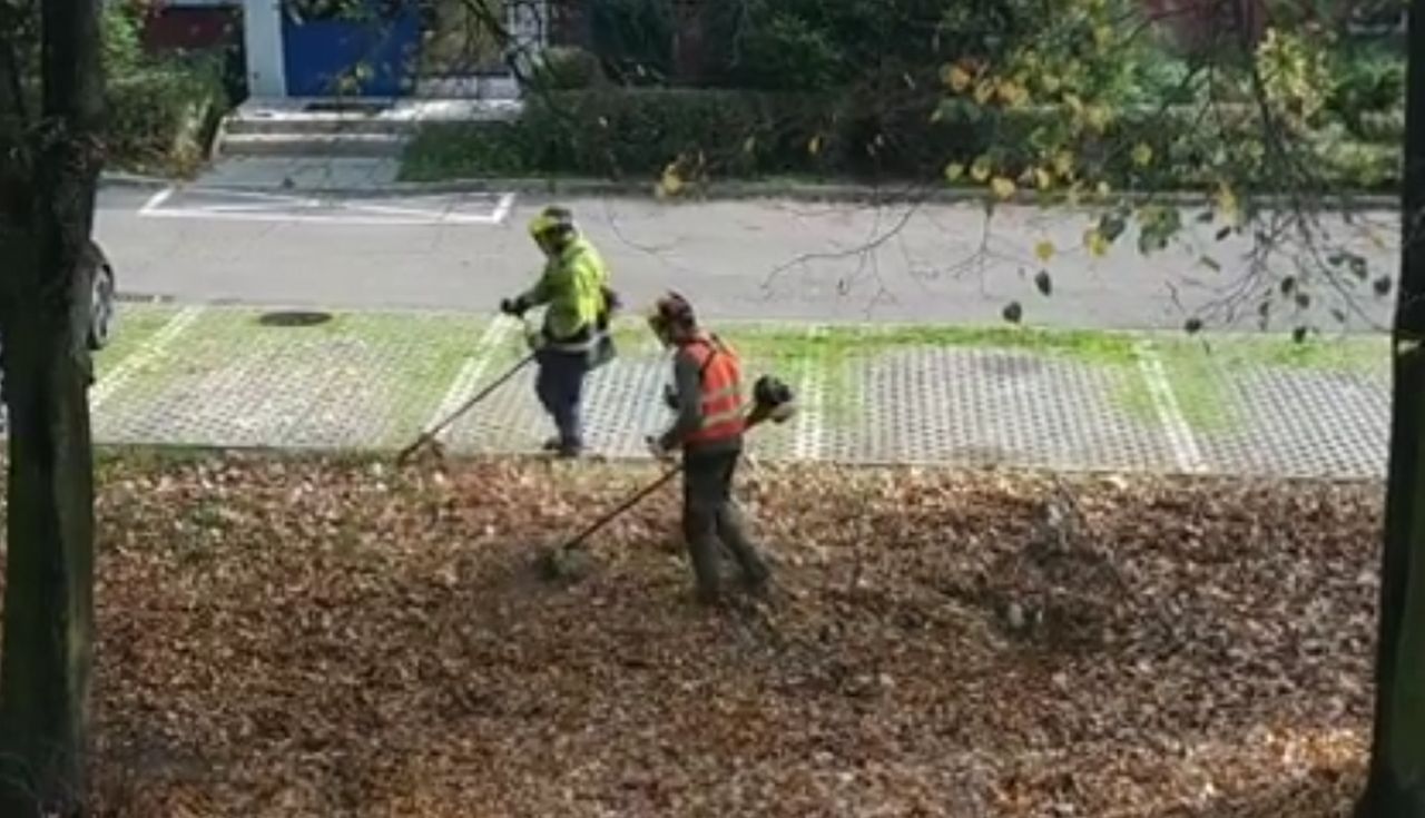 Kosili liście kosiarkami. Resztki zalegają do dziś