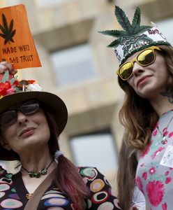 Gruzja legalizuje spożycie marihuany. "Staliśmy się wolnym krajem"