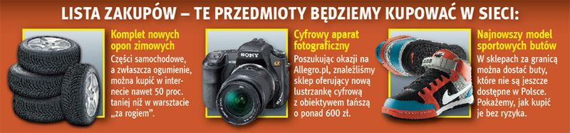 Zakupy  w internecie