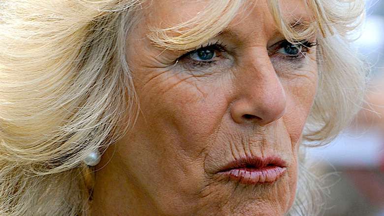 Księżna Camilla zajada się lodem