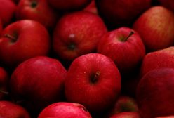 Ceny jabłek w górę. Nawet 4 zł/kg