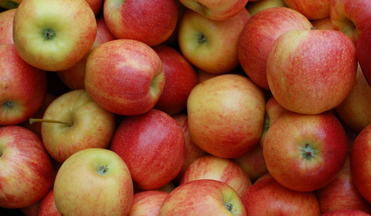 Dlaczego warto jeść jabłka? - Pyszności; Foto Canva.com