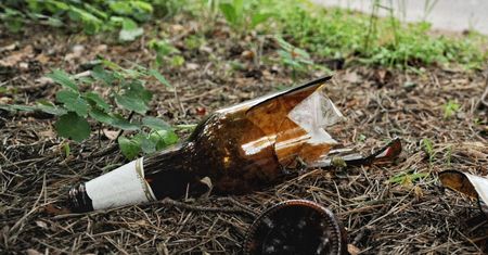 Warszawa. Makabryczna kłótnia na przystanku. Mężczyzna raniony "tulipanem"