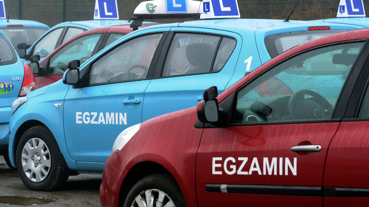egzamin, prawo jazdy, elka