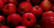 Ceny jabłek w górę. Nawet 4 zł/kg