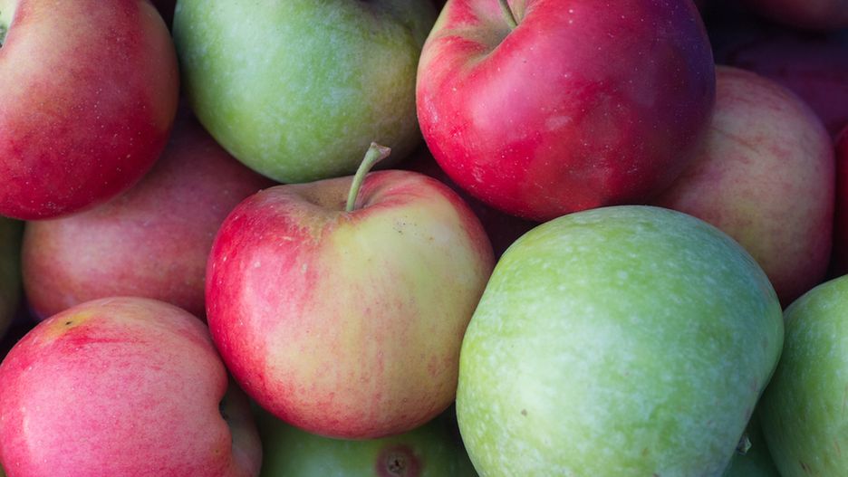 Jabłka to jedne z najpopularniejszych owoców w Polsce