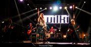 Koncert Grupy WILKI