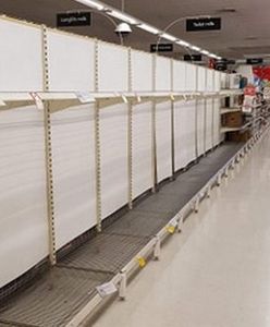 Koronawirus. Panika zakupowa dotyczy wszystkich. Ze sklepów znika papier toaletowy. Zaskakująca obserwacja z USA