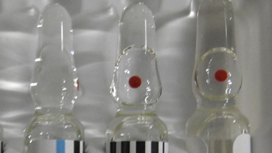 W bagażu obywatela Ukrainy znaleziono ponad 4000 nielegalnych ampułek