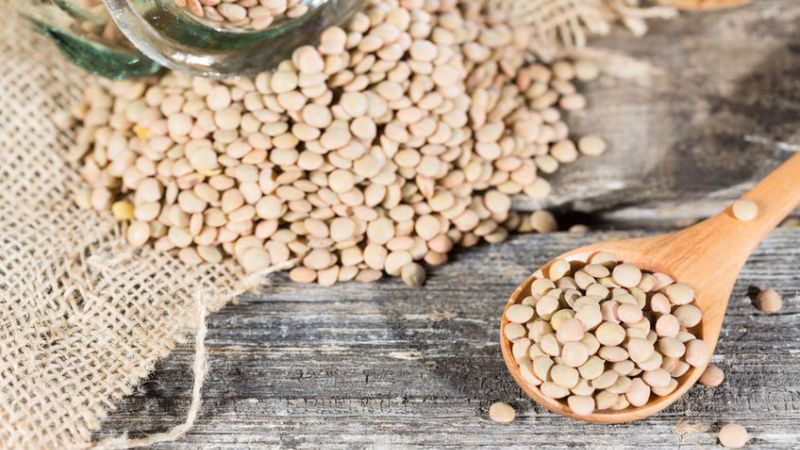 Soja coraz częściej zastępuje na naszych stołach produkty pochodzenia zwierzęcego.