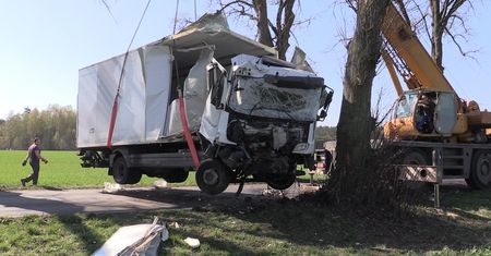 Ciężarówką w drzewo
