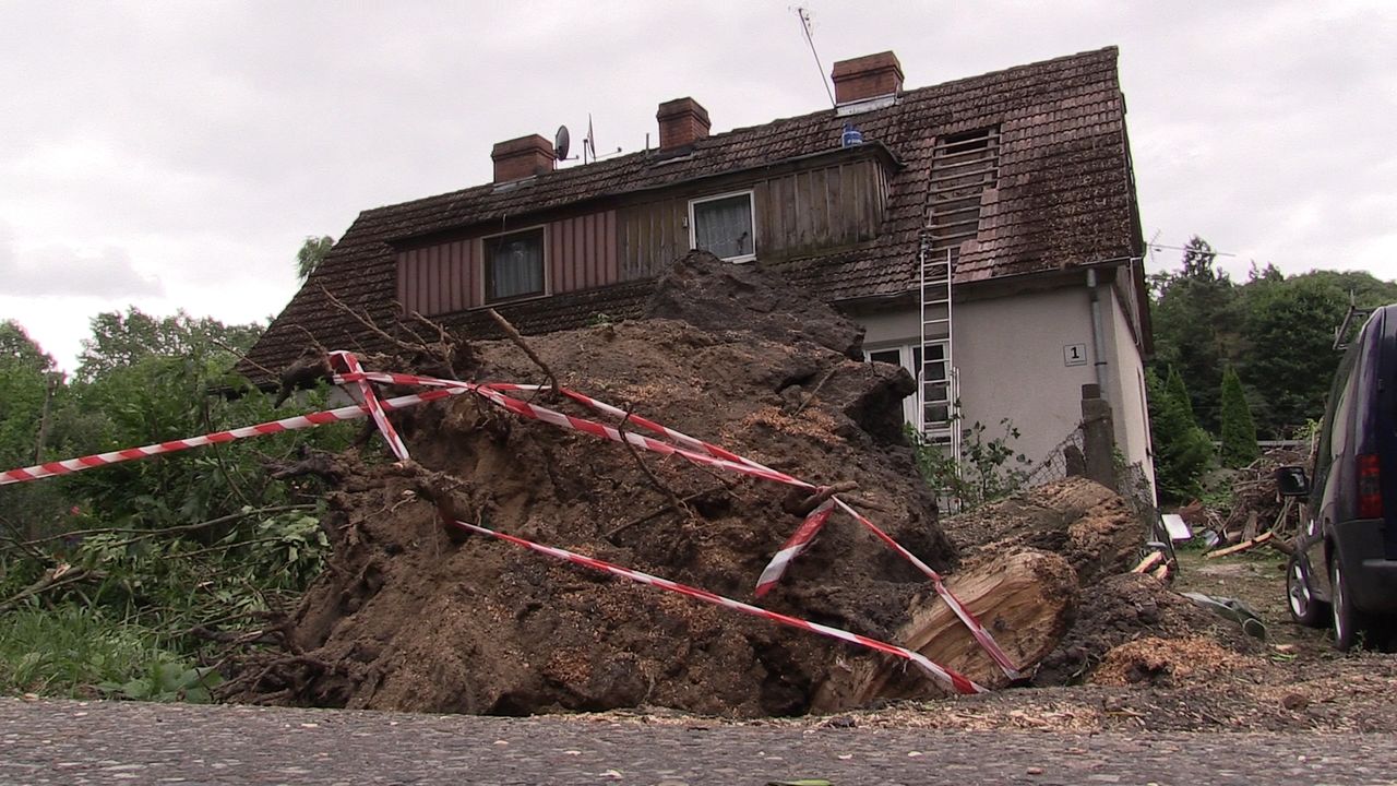 Drzewo spadło na dom