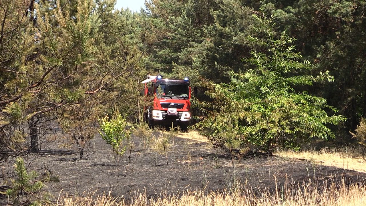 Pożar przy pilskim lotnisku
