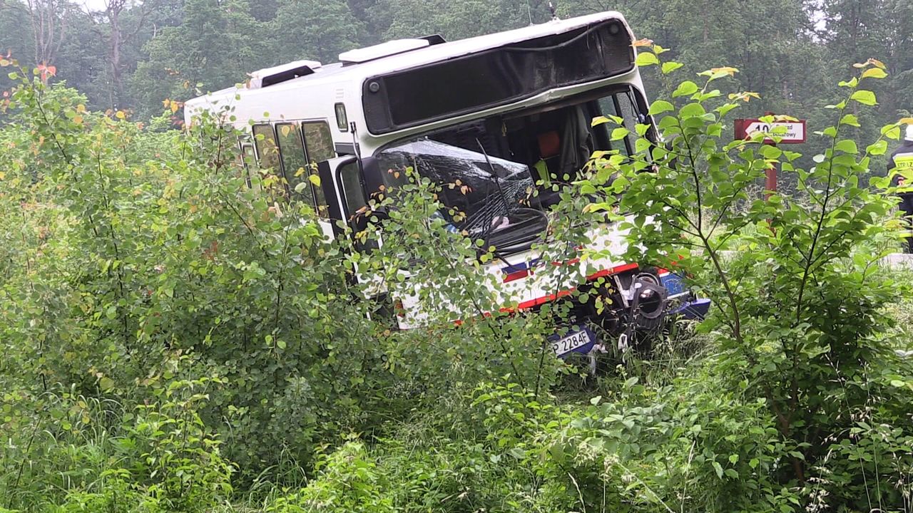 Wypadek 2 autobusów na krajowej 10