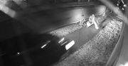 O krok od śmierci – VIDEO