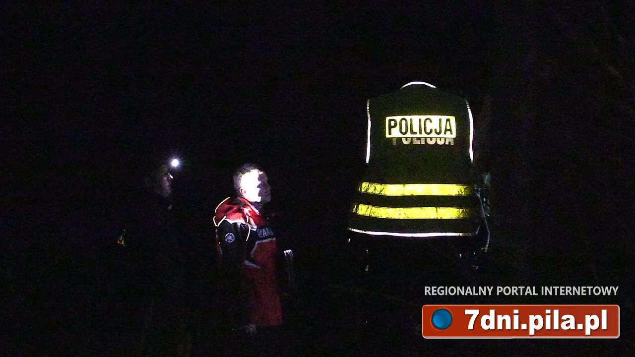 Psy jadły ludzie zwłoki