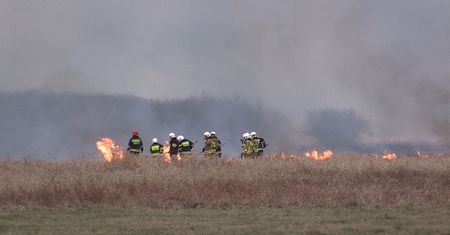 Potężny pożar łąk nadnoteckich