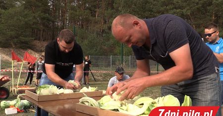 Wielkie Święto Kapusty