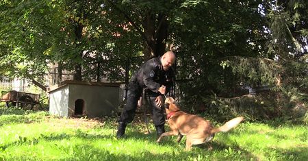 Oddaj psa do służby w policji