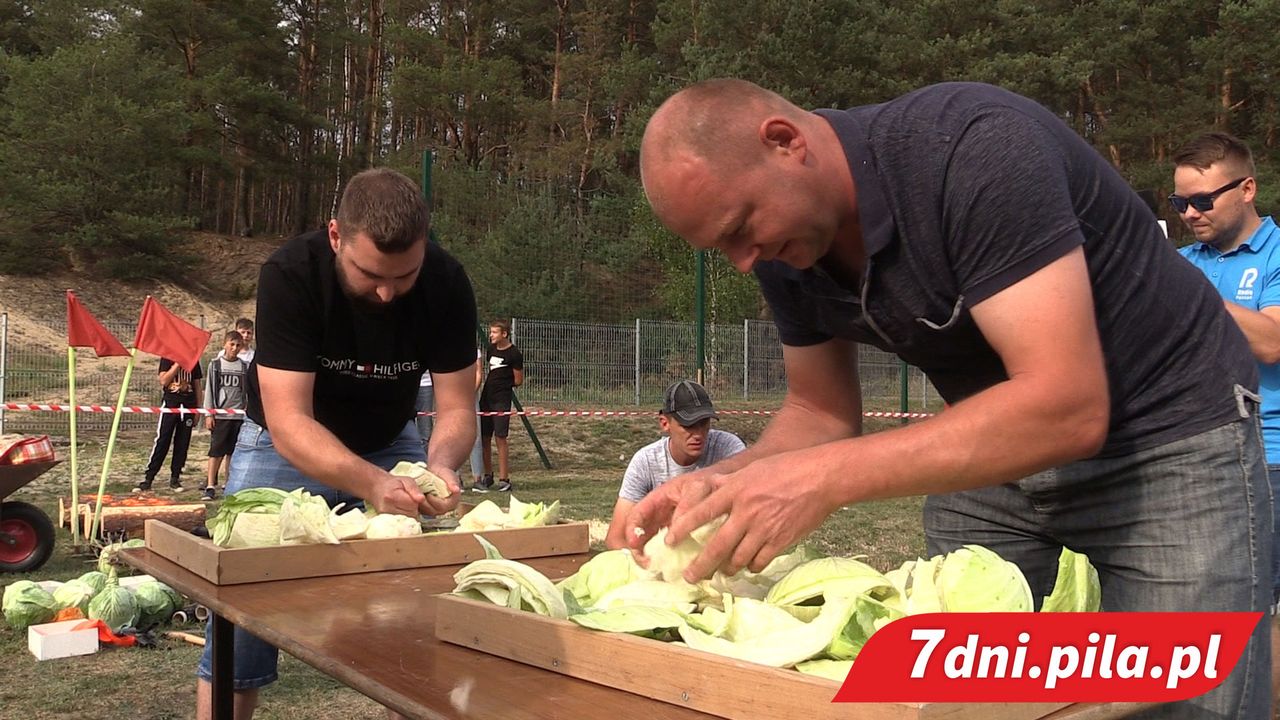 Wielkie Święto Kapusty